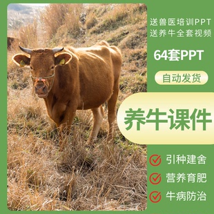 养牛PPT课件肉牛饲养基础育肥家畜养殖营养学兽医培训牛病防治