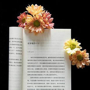 （正版）现货 献给阿尔吉侬的花束(55周年纪念版)完整译本 囊括科幻小说星云奖雨果奖 24个比利战争作者丹尼尔凯斯文学力作畅销书