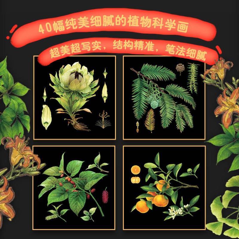 （正版）启航吧知识号！米菜童书6-12岁儿童科普百科全书漫画出发 寻找中国植物 破案 发现中国动物 亲近自然全学科覆盖引导自然教