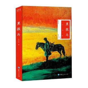 （正版）黑骏马张承志著张承志精选文集代表作中国现当代文学散文随笔书籍黑骏马中文版名家经典精选集
