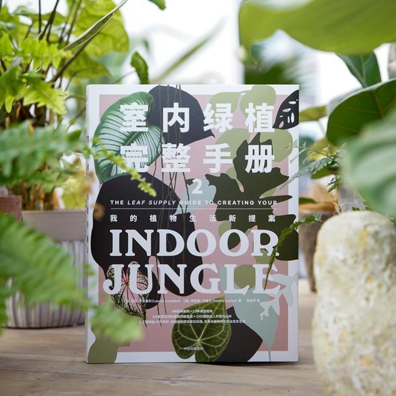 （正版）室内绿植完整手册2 养花书籍 植物小白 打造自己的植物风格 时尚生活家居设计风