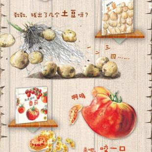 （正版）圆鼓鼓的土豆 麦田精选图画书 绘本 3-6周岁植物蔬菜科普绘 描述土豆的成长绘本图画故事书籍 岩佐祐子 幼儿认知