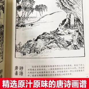 （正版）唐诗素描 曾冬 中国古诗词大全大会唐诗宋词全集鉴赏辞典三百首 官图书书籍畅销书