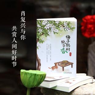 (正版)梅子熟时栀子香 肖复兴 散文精选集 经典美文舒缓治愈温暖文字 那片绿绿的爬山虎 中国现当代文学散文书籍