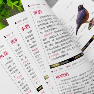 (正版)鸟图鉴鸟类观察手册 世界鸟类行为动物科普图鉴 珍惜森林草原野鸟形态鸟类图鉴野生动物百科观鸟手册鸟类大全鸟类生态大图