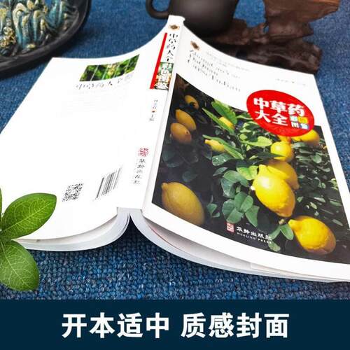 开学季】中草药大全彩图版 中草药图鉴大全百科书 中医书籍大全