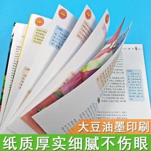 (正版)荀子集解劝学篇译注全集原文带翻译国学经典三四五六年级小学生青少年课外书彩图美绘插画版带读后感山东美术出版社邓敏华