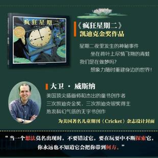 （正版）疯狂星期二(精) 宝宝幼儿童情商教育绘本启发 亲子读物儿童文学漫画畅销书 3-5-6-7-8-9岁婴幼儿童绘本中国小学基本配备书