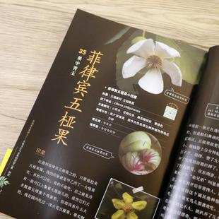 （正版）东南亚水果猎人水果食疗营养速查全图鉴水果史话不乖书生与水果的热恋之旅初识 杨晓洋著东南亚水果科普百科品种分类书籍