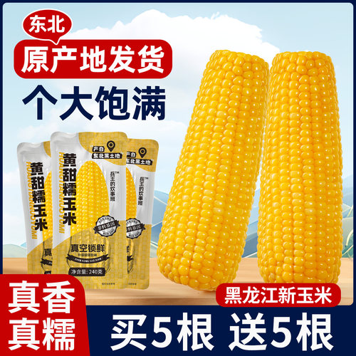 正宗黑龙江新鲜东北黄糯玉米甜糯