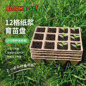 12格纸浆穴盘育苗盘一次性种菜盆栽专用育苗杯庭院阳台种植育苗盆