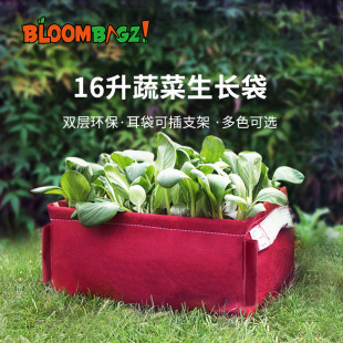 bloombagz阳台蔬菜生长袋 种菜神器家庭长方形花盆植物种植箱特卖