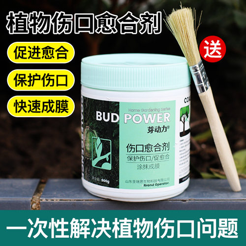 植物伤口愈合剂苗木嫁盆景封口胶
