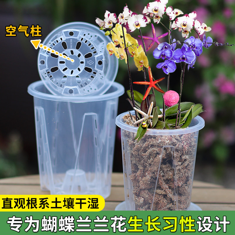透明可视空气柱控根盆绿植园艺盆栽石斛蝴蝶兰月季扦插观根种植盆,鲜花速递/花卉仿真/绿植园艺,花盆,淘宝优惠券,粉丝福利购,淘宝优惠卷
