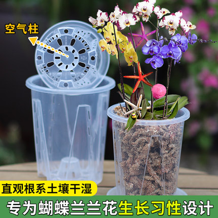 透明可视空气柱控根盆绿植园艺盆栽石斛蝴蝶兰月季扦插观根种植盆