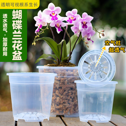 青山控根盆花盆透明蝴蝶兰蔓绿绒竹海芋专用加厚盆园艺桌面新款