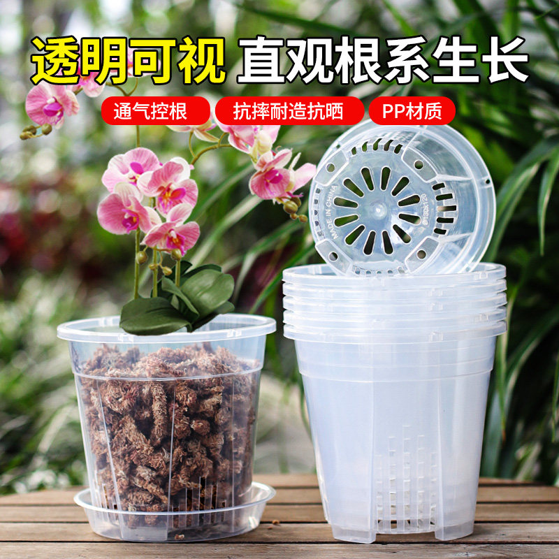 新款透气花盆加厚耐用透明可视图片