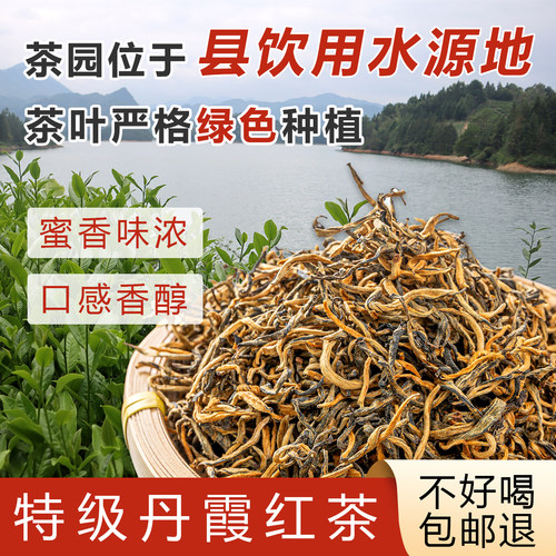 【2026新茶】韶关丹霞蜜香红茶白毛茶清明茶红山红茶媲美英红九号