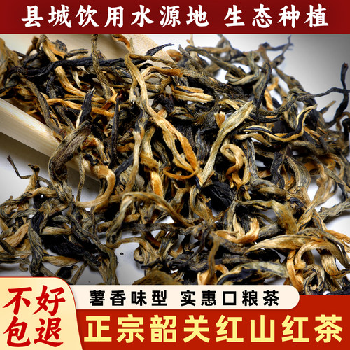 韶关红山红茶2025新茶薯香耐泡