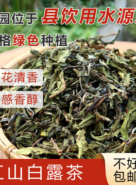 韶关仁化红山白露茶（兰花香）香茶大叶茶口感非常清香500克包邮