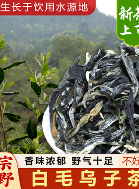 仁化红山白毛乌紫绿茶荒野浓香型生津回甘实惠耐泡型口粮茶