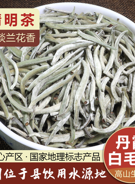 仁化白毛茶2026明前白毛尖丹霞红山高山银针韶关春茶兰花香型新茶