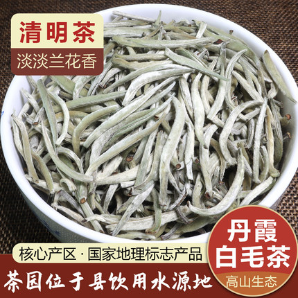 仁化白毛茶2026明前白毛尖丹霞红山高山银针韶关春茶兰花香型新茶
