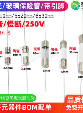 3.6x10 5*20 6*30MM陶瓷玻璃保险丝管带引线脚0.5A12345A1520A25A