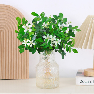 九里香水培盆栽客厅窗台好养花卉开花浓香驱蚊植物办公室工位绿植