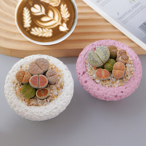 生石花多肉办公室工位桌摆迷你小盆栽窗台新手易养萌肉组合屁股花