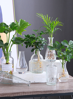 玻璃小花瓶透明水培植物容器桌面ins风格绿植花瓶客厅插花摆件