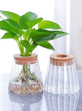 简约花卉玻璃花瓶新品