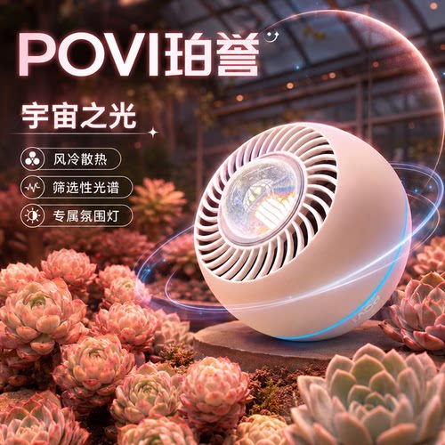 植物生长多肉补光上色鹿角蕨绿植