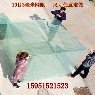 网箱养鱼存鱼养殖网小龙虾泥鳅黄鳝牛蛙鱼苗育苗密孔防逃网箱定做