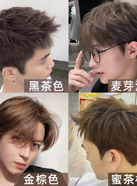 施华蔻染发膏男士专用颜色冷茶棕色2024流行显白在家染头剂植物纯