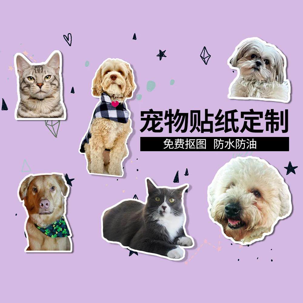 自制宠物照片防水贴纸定制猫咪狗手机壳行李箱异形不干胶搞怪