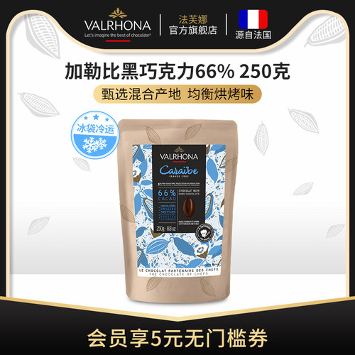 原料法国进口零食巧克力豆币