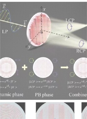 代做zemax lighttools tracepro光学设计优化 镜头光源显微镜激光