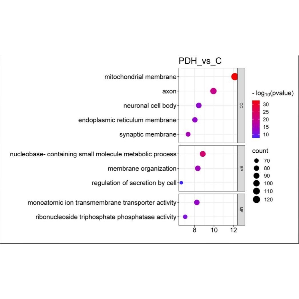 硕博论著全套医学统计设计分析有无数据均可可提供原始数据服务