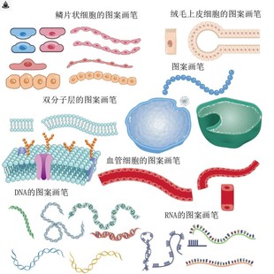 生物医学素材可编辑矢量 细胞病毒细菌 AI科研绘图素材库