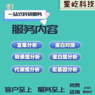 实验外包生信分析火山图绘制服务