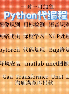 Python深度学习代做遥感医学图像识别目标检测语义分割编程序接单