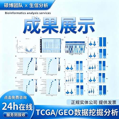 高斯计算 lammps VASP MS QE 模拟计算 DFT计算 第一性原理计算