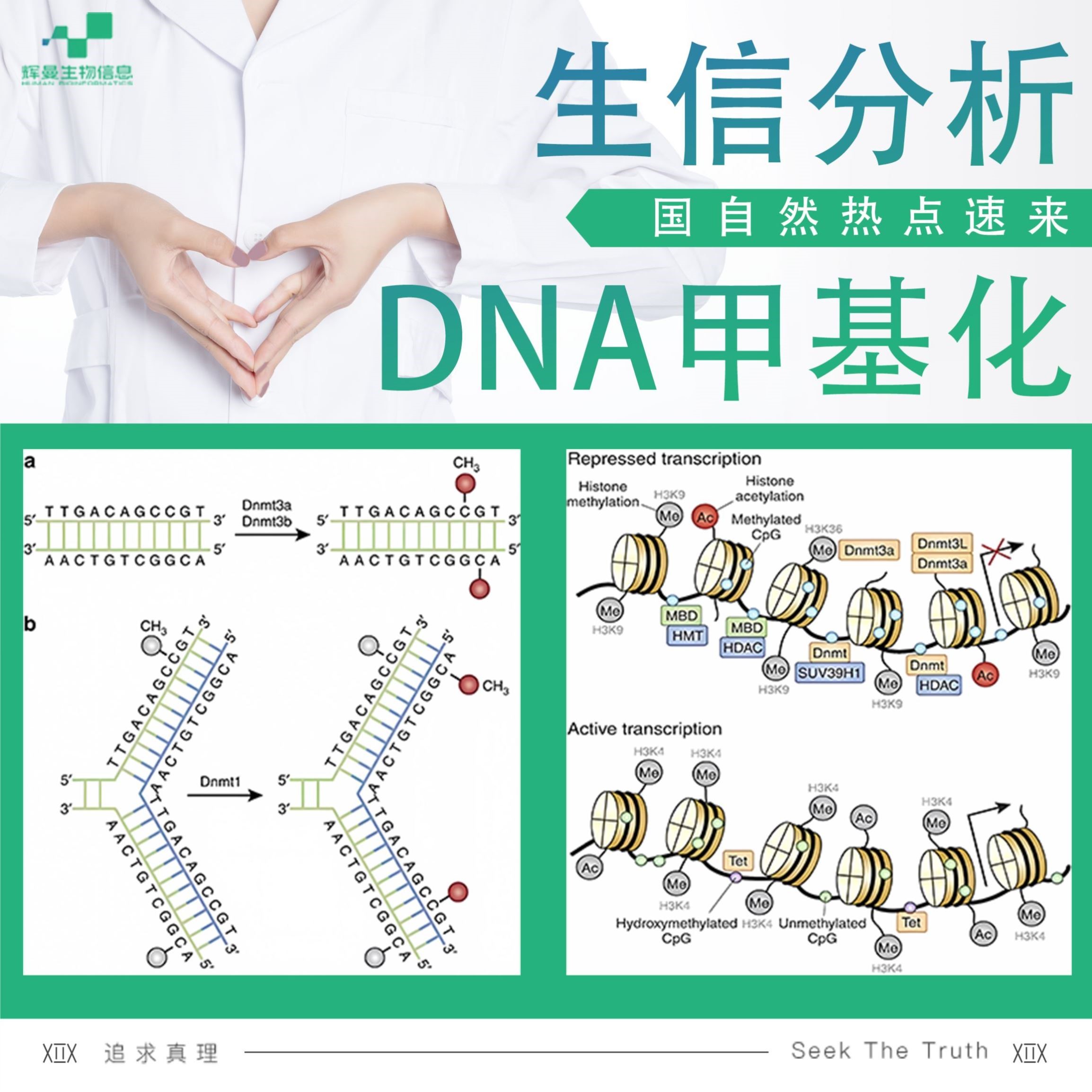 生信分析单细胞测序转录组TCGA GEO数据库挖掘分析生信服务