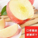 洛川苹果礼盒水果新鲜当季 正宗陕西延安洛川红富士好吃脆甜苹果