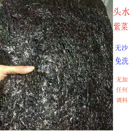 温州头水紫菜新货无沙免洗 干货紫菜汤即食冲泡紫菜