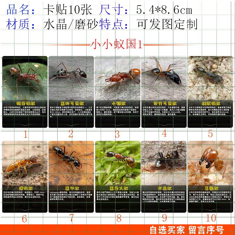 小小蚁国的卡片蚂蚁图鉴小孩玩的儿童玩具水晶磨砂装饰卡贴纸文具