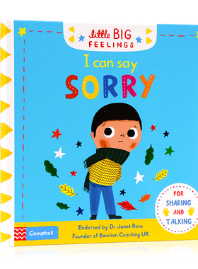 I Can Say Sorry 我可以说对不起Little Big Feelings系列机关操作书英文原版绘本儿童情绪管理推拉机关书亲子互动英语启蒙纸板书