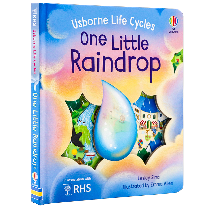 Usborne 生命周期系列 一个小雨滴 英文原版绘本 Life Cycles: One Little Raindrop 儿童英语阅读图画书 精美插画 Lesley Sims