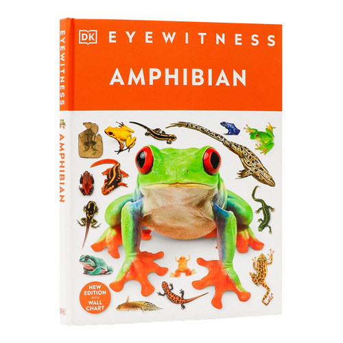 DK目击者系列之两栖动物 英文原版 Eyewitness Amphibian 两栖动物科普百科全书读物 中小学生自然科学科普知识图书 精装全彩插图